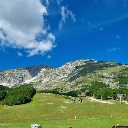 Mountain House Savin Kuk Villa Žabljak Dış mekan fotoğraf