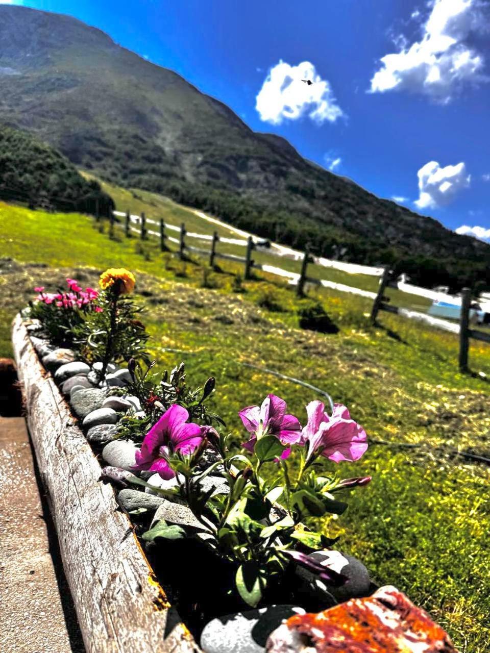 Mountain House Savin Kuk Villa Žabljak Dış mekan fotoğraf