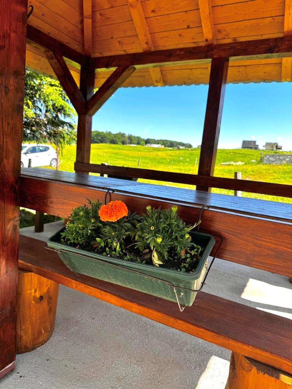 Mountain House Savin Kuk Villa Žabljak Dış mekan fotoğraf